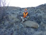 Holly_Deer2012_Radio Collared.jpg
