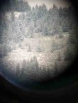 ImageUploadedByTapatalk1351014659.077240.jpg