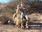 Coyote 10-24-12 #31 006 1.jpg