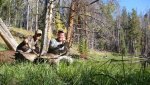 dirkmoose.jpg