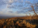 Elk hunt 2013 030.jpg