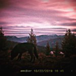 2D957A07-AA01-4774-98E0-0D6FF2A53C42.jpeg