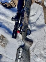 IMG_4104.jpeg IMG_4104.jpeg