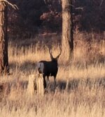 Screenshot_20260223_182619_Video Player.jpg Screenshot_20260223_182619_Video Player.jpg