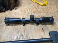 IMG_3494.jpeg IMG_3494.jpeg