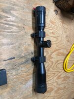 IMG_3493.jpeg IMG_3493.jpeg