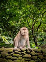 PXL_20260220_021316376~2.jpg PXL_20260220_021316376~2.jpg