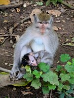 PXL_20260220_023337143~2.jpg PXL_20260220_023337143~2.jpg