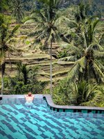 PXL_20260220_043023678~2.jpg PXL_20260220_043023678~2.jpg