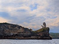 PXL_20260221_014719511.MP-EDIT.jpg PXL_20260221_014719511.MP-EDIT.jpg