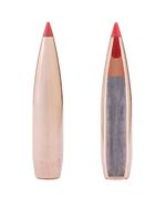 IMG_0765.webp IMG_0765.webp