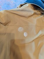 PXL_20260225_204040017.jpg PXL_20260225_204040017.jpg