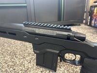 IMG_0236.jpeg IMG_0236.jpeg