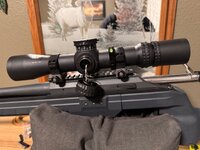 IMG_0256.jpeg IMG_0256.jpeg