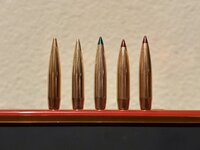 IMG_6317.jpeg IMG_6317.jpeg