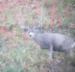 IMG_4496.jpeg IMG_4496.jpeg