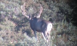 IMG_4495.jpeg IMG_4495.jpeg