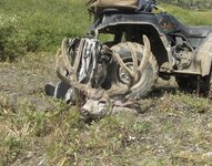 IMG_4497.jpeg IMG_4497.jpeg