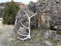 IMG_6023.jpeg IMG_6023.jpeg