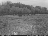 IMG_1912.jpeg IMG_1912.jpeg