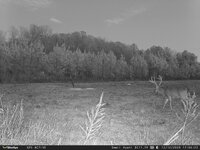 IMG_1944.jpeg IMG_1944.jpeg