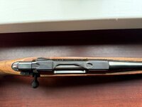 IMG_1130.jpeg IMG_1130.jpeg