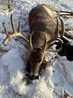 IMG_1155.jpeg IMG_1155.jpeg