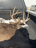 IMG_7599.jpeg IMG_7599.jpeg