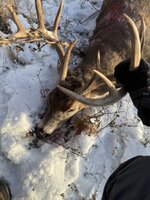 IMG_1154.jpeg IMG_1154.jpeg