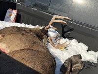 IMG_7605.jpeg IMG_7605.jpeg