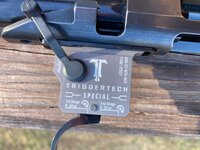 IMG_3715.jpeg IMG_3715.jpeg