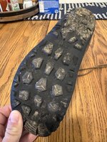 IMG_1081.jpeg IMG_1081.jpeg