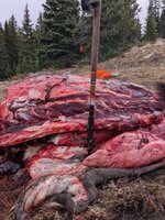 PXL_20251004_151747736.jpg PXL_20251004_151747736.jpg