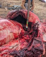 PXL_20251004_151727348~2.jpg PXL_20251004_151727348~2.jpg