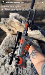 IMG_7054.jpeg IMG_7054.jpeg