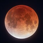 8DEDA1B8-1752-4714-9871-E78141C9E145.jpeg 8DEDA1B8-1752-4714-9871-E78141C9E145.jpeg