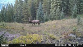 1772624348319.jpeg 1772624348319.jpeg