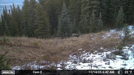 1772624633113.jpeg 1772624633113.jpeg