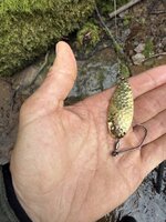 IMG_4414.jpeg IMG_4414.jpeg