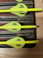 IMG_4534.jpeg IMG_4534.jpeg