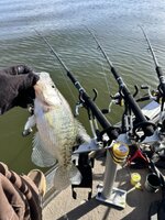 IMG_2633.jpeg IMG_2633.jpeg