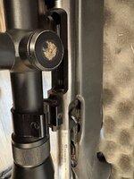 IMG_2550.jpeg IMG_2550.jpeg