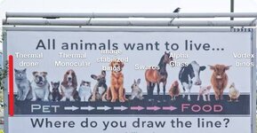 IMG_3806.jpeg IMG_3806.jpeg