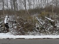 how-fast-can-you-find-the-deer-v0-MmgRmxDRsQdiJxWcG0QxsR45NwAnEUYcQNla97kDju8 — середнє.jpeg