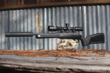 SuperDope Murder Maple.JPG