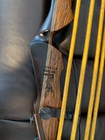 Palmer recurve IMG_2228.jpeg