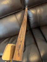 Palmer recurve IMG_2227.jpeg