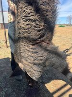 IMG_3233.jpeg