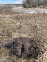 IMG_3288.jpeg IMG_3288.jpeg