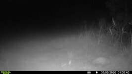 016578002522958-100-2-03082026010940-V-SYFW02731.jpeg 016578002522958-100-2-03082026010940-V-SYFW02731.jpeg